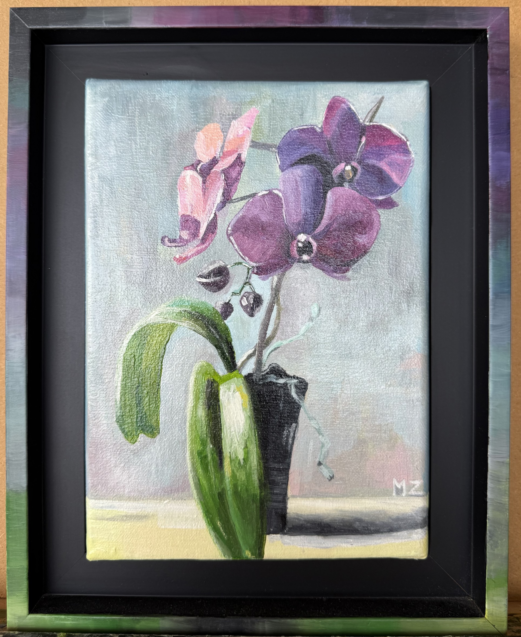 Velvet Orchid